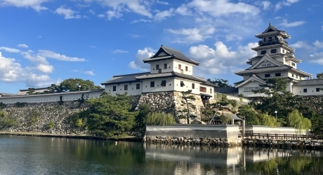 愛媛県のバーチャルオフィス業界の特徴