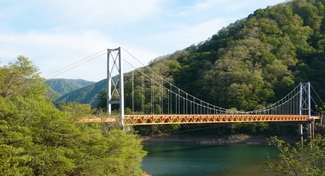 プロからみた福井県のバーチャルオフィスの現状