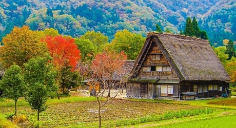 岐阜県のバーチャルオフィス業界の特徴