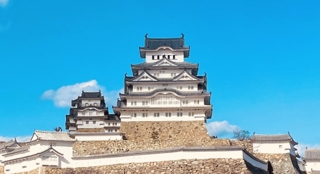 兵庫県のバーチャルオフィス業界の特徴