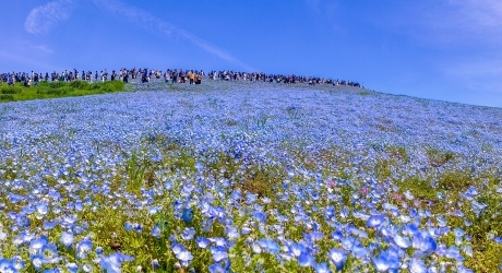 茨城県のバーチャルオフィス業界の特徴