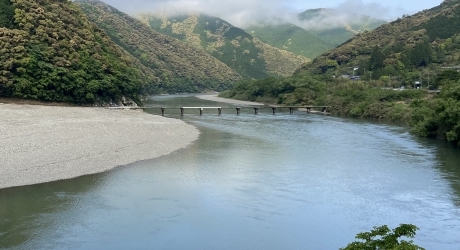 高知県のバーチャルオフィス業界の特徴