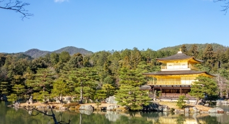 京都府のバーチャルオフィス業界の特徴