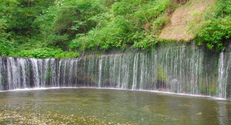 プロからみた長野県のバーチャルオフィスの現状