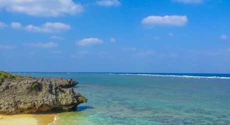 沖縄県のバーチャルオフィス業界の特徴