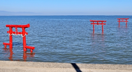 プロからみた佐賀県のバーチャルオフィスの現状