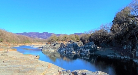 埼玉県のバーチャルオフィス業界の特徴