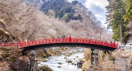 プロからみた栃木県のバーチャルオフィスの現状