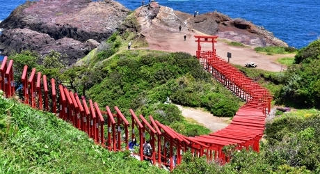 プロからみた山口県のバーチャルオフィスの現状