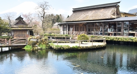 山梨県のバーチャルオフィス業界の特徴