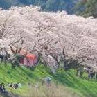 島根県