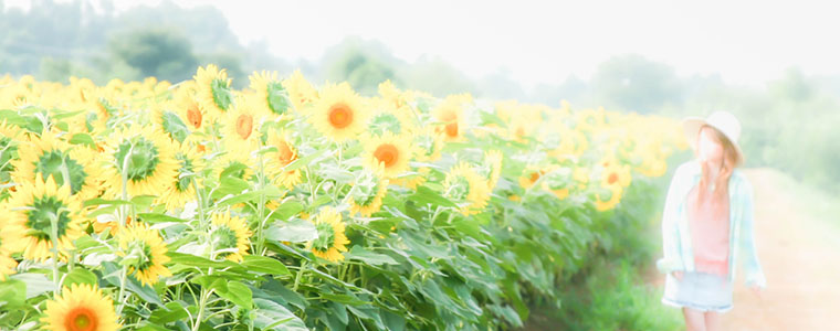 茨城県のバーチャルオフィス